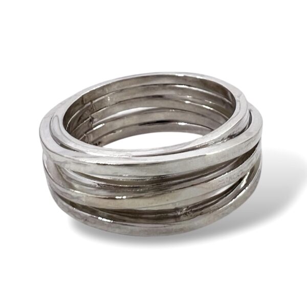ANILLO MÚLTIPLE